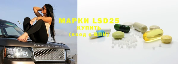 мдпв Верея