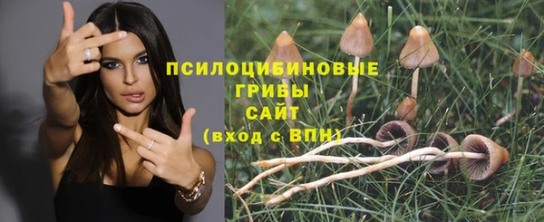 спиды Верхний Тагил