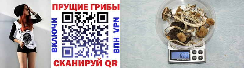 Галлюциногенные грибы ЛСД  где можно купить наркотик  кракен рабочий сайт  Лянтор 
